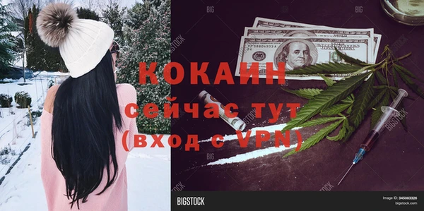 ECSTASY Белокуриха