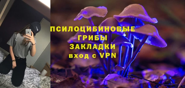 ECSTASY Белокуриха